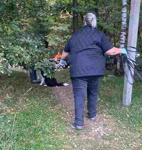 Mantrail-Hund-Personensuche, Behringer Straße, 29646 Bispingen ...