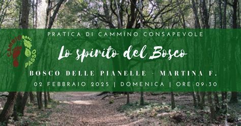 Lo spirito del bosco delle Pianelle - Pratica di Cammino Consapevole ...