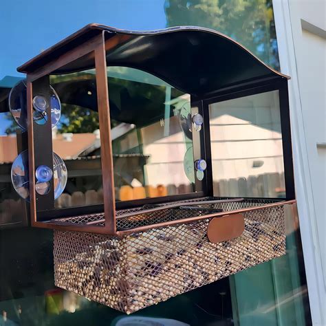 Amazon.com : Lilyang Window Bird Feeder, Metal Bird Feeder Window with ...