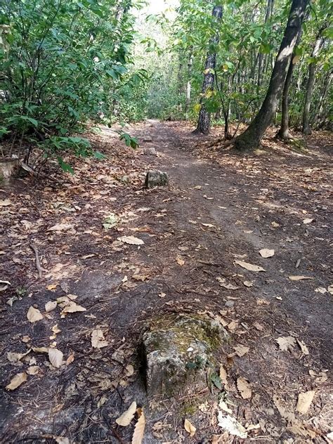 La Batterie Militaire De Blémur (Piscop) - All You Need to Know BEFORE ...