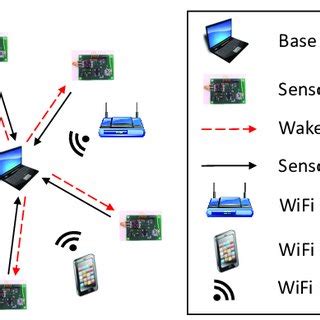 Network Simulation 的图像结果