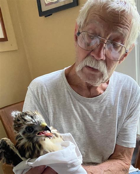 Fred Homer Wild Bird Rescue Fundraiser & Raptor Food Drive, 387 Dover ...