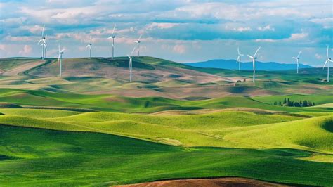 Download Tasmania Green Hills Wallpaper | Wallpapers.com