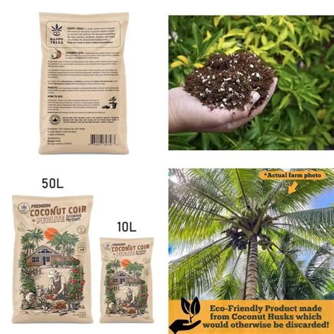 10 Best Peat-Free Soil Alternatives for Eco-Friendly Gardening in 2025 ...