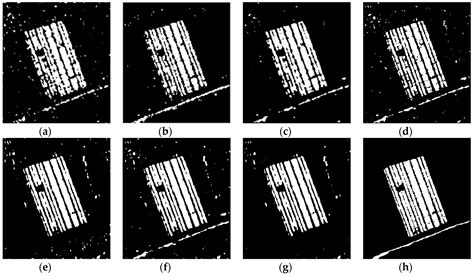 An Unsupervised SAR Change Detection Method Based on Stochastic ...