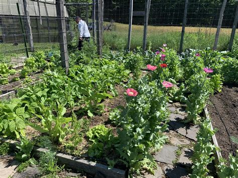 Gardening Basics and Beyond - Part 2, 41 Lower Sahler Mill Rd ...