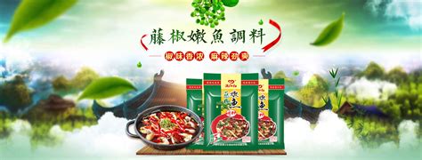 四川满江红食品科技有限公司--豆瓣-调味品_食品