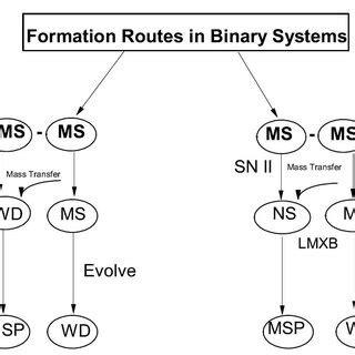 Flow Chart of Binary Evolution 的图像结果