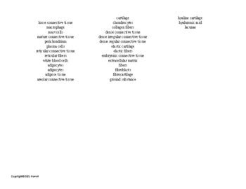 Image result for Deep Tissue Word