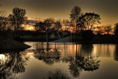 Image result for Example of Things That Reflect