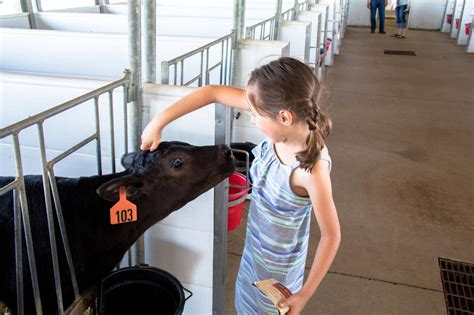 Your Guide to County Fairs in Northeast Iowa - Northeast Iowa Tourism