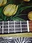 JUAREZ Estrélla 23" Concert Ukulele, Spruce Top, Mahogany Back & Side ...