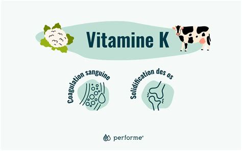 Liste des vitamines et de leurs rôles pour la santé - Performe