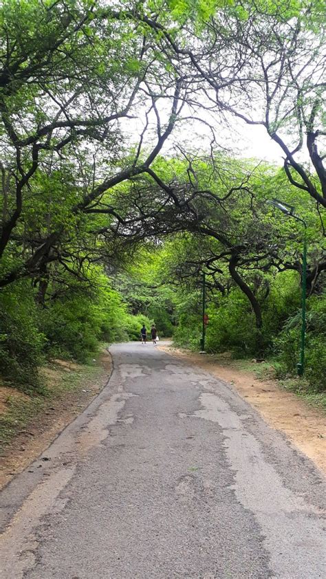 Delhi Forests: 11 Beautiful Spaces For A Nature Escape Within The City