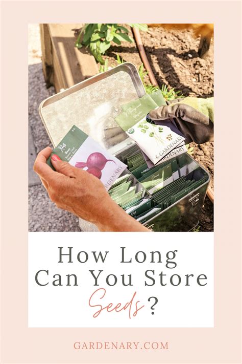 Can Seeds Expire or Go Bad? • Gardenary