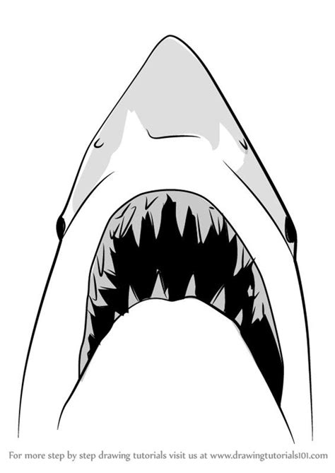 shark drawing jaws