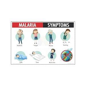Anne Print Solutions® Malaria symptoms chart Poster For Hospital ...