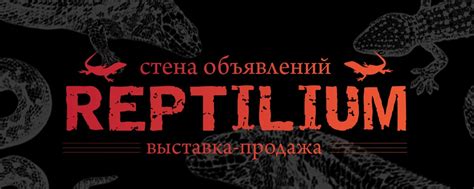 Выставка Рептилиум: стена объявлений | Встреча выставки (все новости и ...