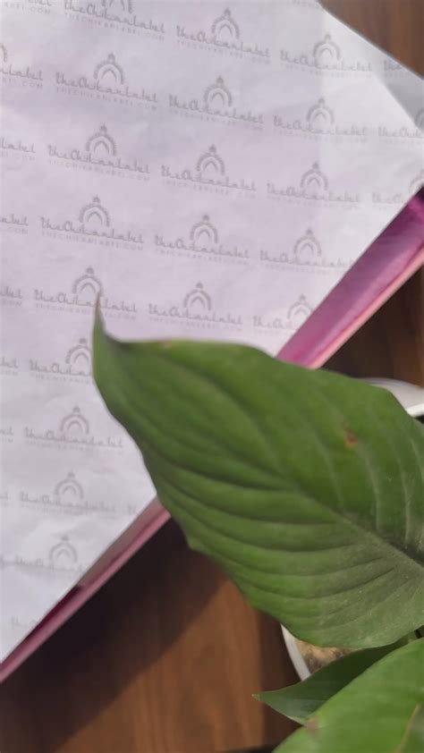 Aniya White Chanderi Chikankari Kurti – Timeless Elegance | The Chikan ...