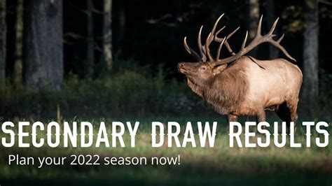 Colorado Secondary Draw Results, Book a Hunt W/ Reverse 7L