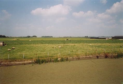 BEST Things to Do in Delfgauw - UPDATED 2022