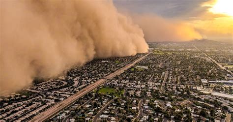 Image result for Alien War 2014