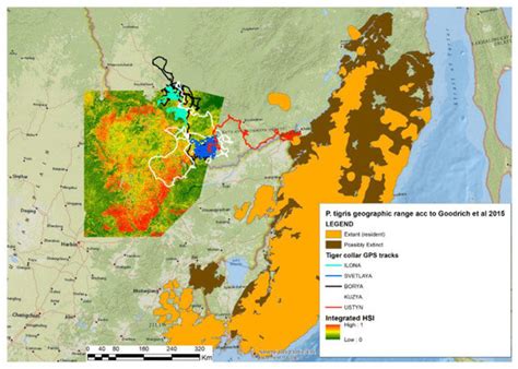 Is the Lesser Khingan Suitable for the Amur Tiger Restoration ...