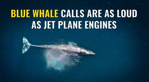 Image result for Random Easy Facts