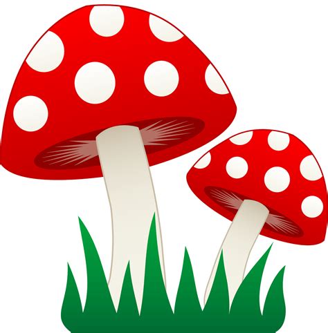 Mushroom fungi clipart 20 free Cliparts | Download images on Clipground ...