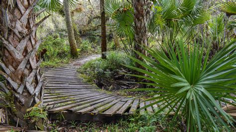 Mountain Bike Trail, Halpatiokee Regional Park – Florida Hikes