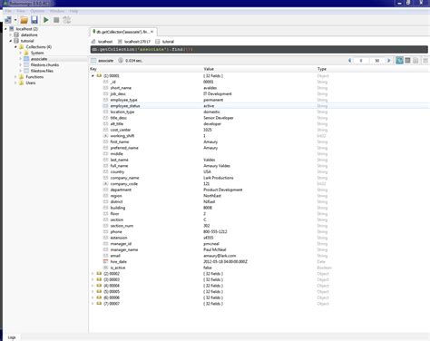 Image result for ExtJS Spring