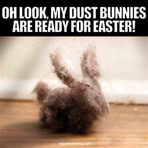 15 Easter Bunny Memes That Will Make Your Holiday Egg-stra Hilarious
