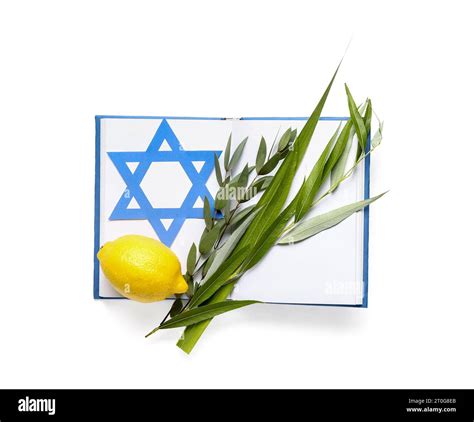 Four species (lulav, hadas, arava, etrog) as Sukkot festival symbols ...