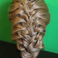 Image result for Carrot Puff Braids