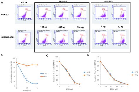 In Silico, In Vitro and In Cellulo Models for Monitoring SARS-CoV-2 ...