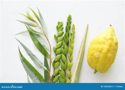 Religion Image of Jewish Festival of Sukkot. Traditional Symbols the ...