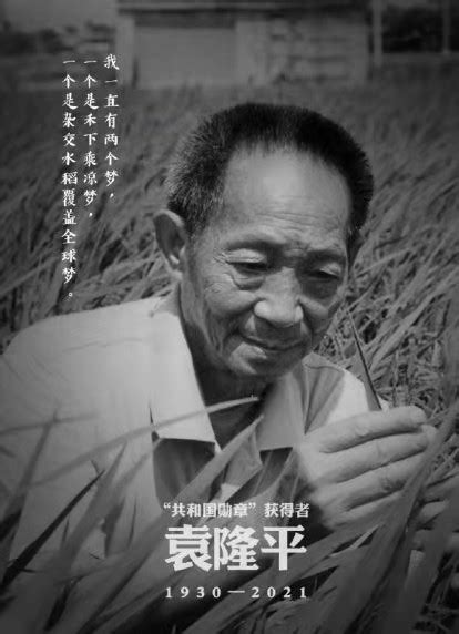 “杂交水稻之父”袁隆平去世[组图] _ 图片中国_中国网