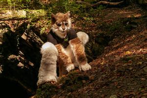 Image result for Java Fur Forge