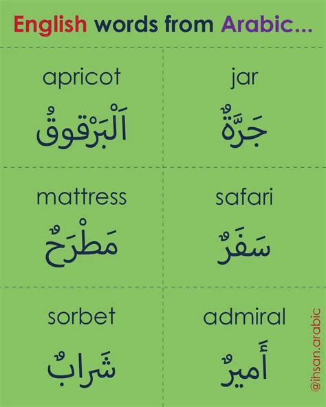 Arabic Curse Phrases