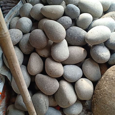 Jual Batu Kali Ukuran Sedang / Diameter +-20cm - Jakarta Barat - Little ...