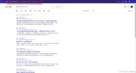 如何在 Google Chrome 中添加自定义搜索引擎（谷歌浏览器使用百度为默认搜索引擎）-牛奇网