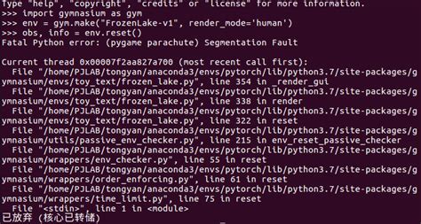 Positional ArgumentError Pygame 的图像结果