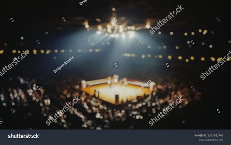 Boxing Match Background 的图像结果