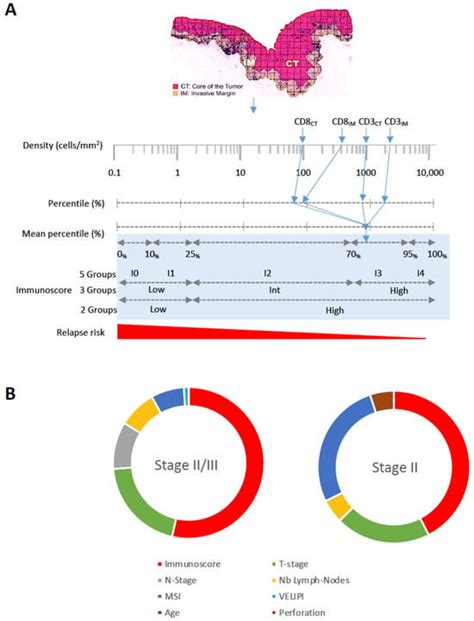 Cancers | Special Issue : Predictive Biomarkers for Colorectal Cancer
