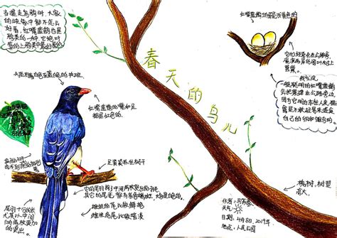 鸟语在线阅读_沪教版小学四年级语文下册书_好学电子课本网