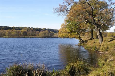 Sutton Park in Birmingham - Visit One of the UK's Largest Urban Parks ...