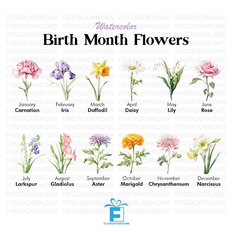 Birth Month Flowers Clipart Bundle Commercial Use Watercolor Birth ...