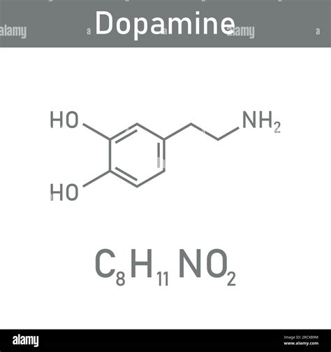 Chemical structure of Dopamine (C8H11NO2). Chemical resources for teachers and students. Vector ...