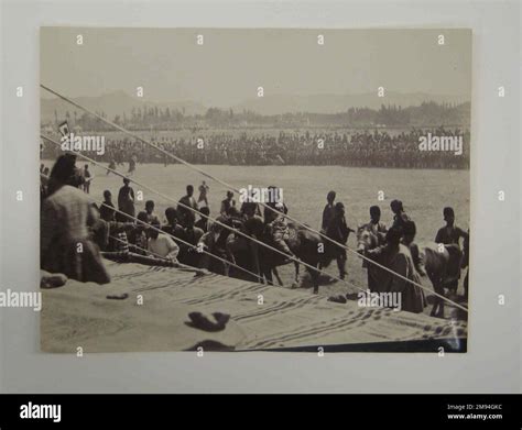 Horse Race, One of 274 Vintage Photographs , late 19th-early 20th ...