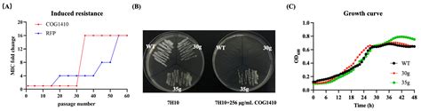 ApoE Mimetic Peptide COG1410 Kills Mycobacterium smegmatis via Directly ...